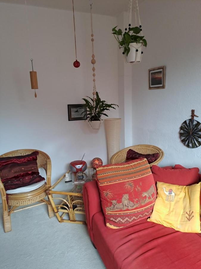 Séjour chez l'habitant African Dream