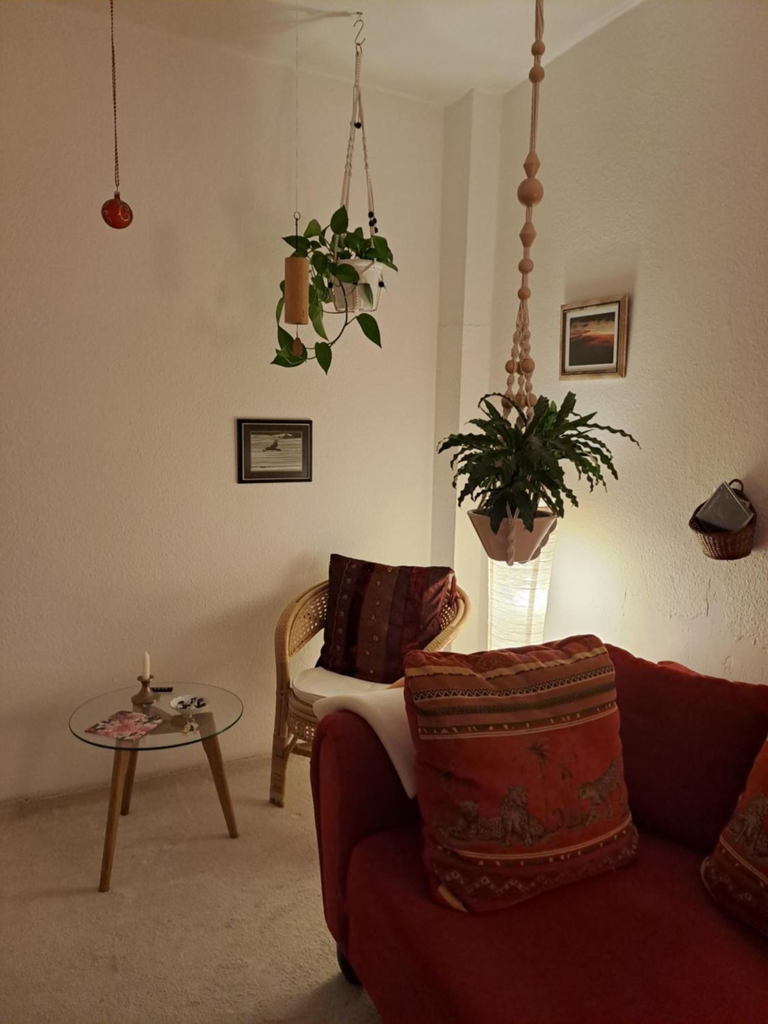 Séjour chez l'habitant African Dream Oldenbourg